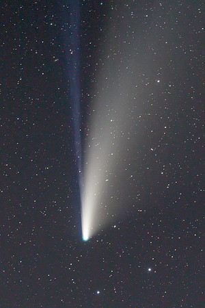 Comet Neowise